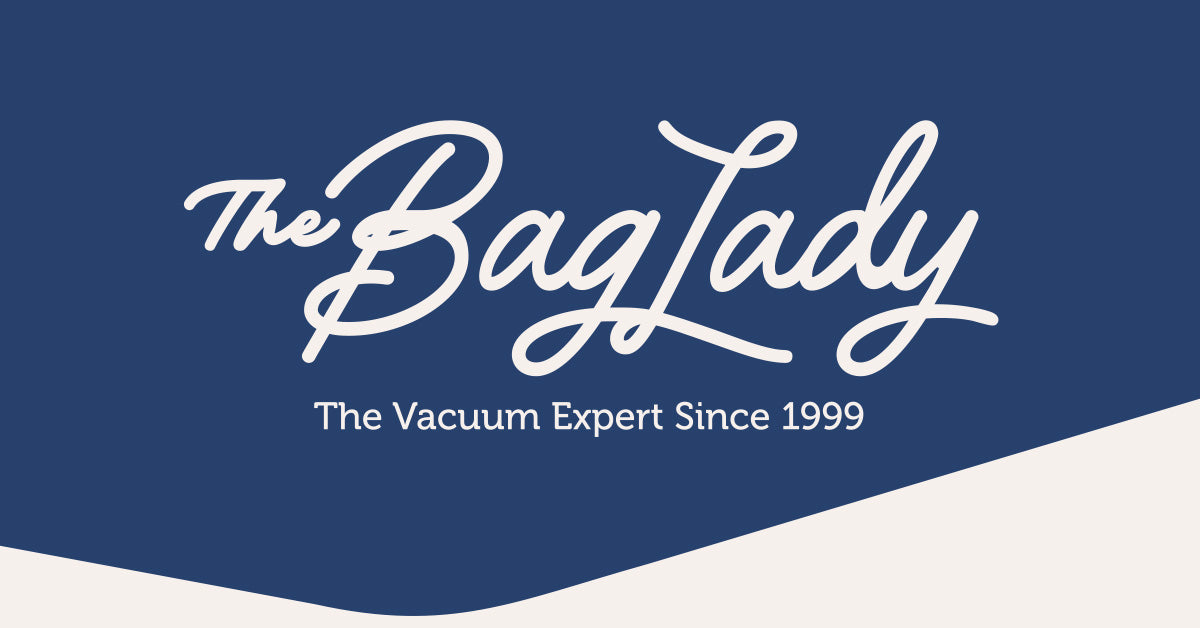 10-Pack Electrolux Vacuum Cleaner Bags – Type E10, E42, E42n – Fits Microlite Z1610, Z1620
